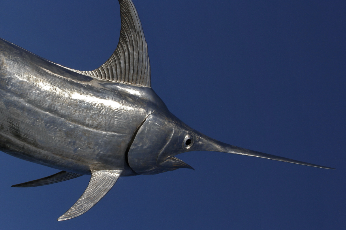 Atlantic Tuna and Swordfish: The Parasite Paradox