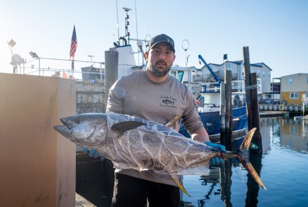 wild caught tuna