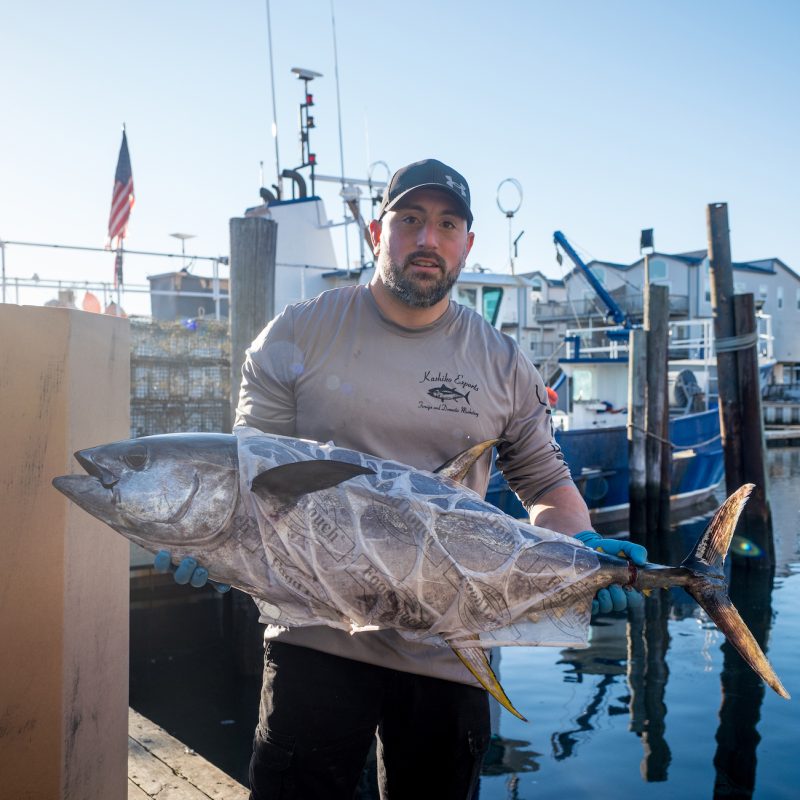 wild caught tuna