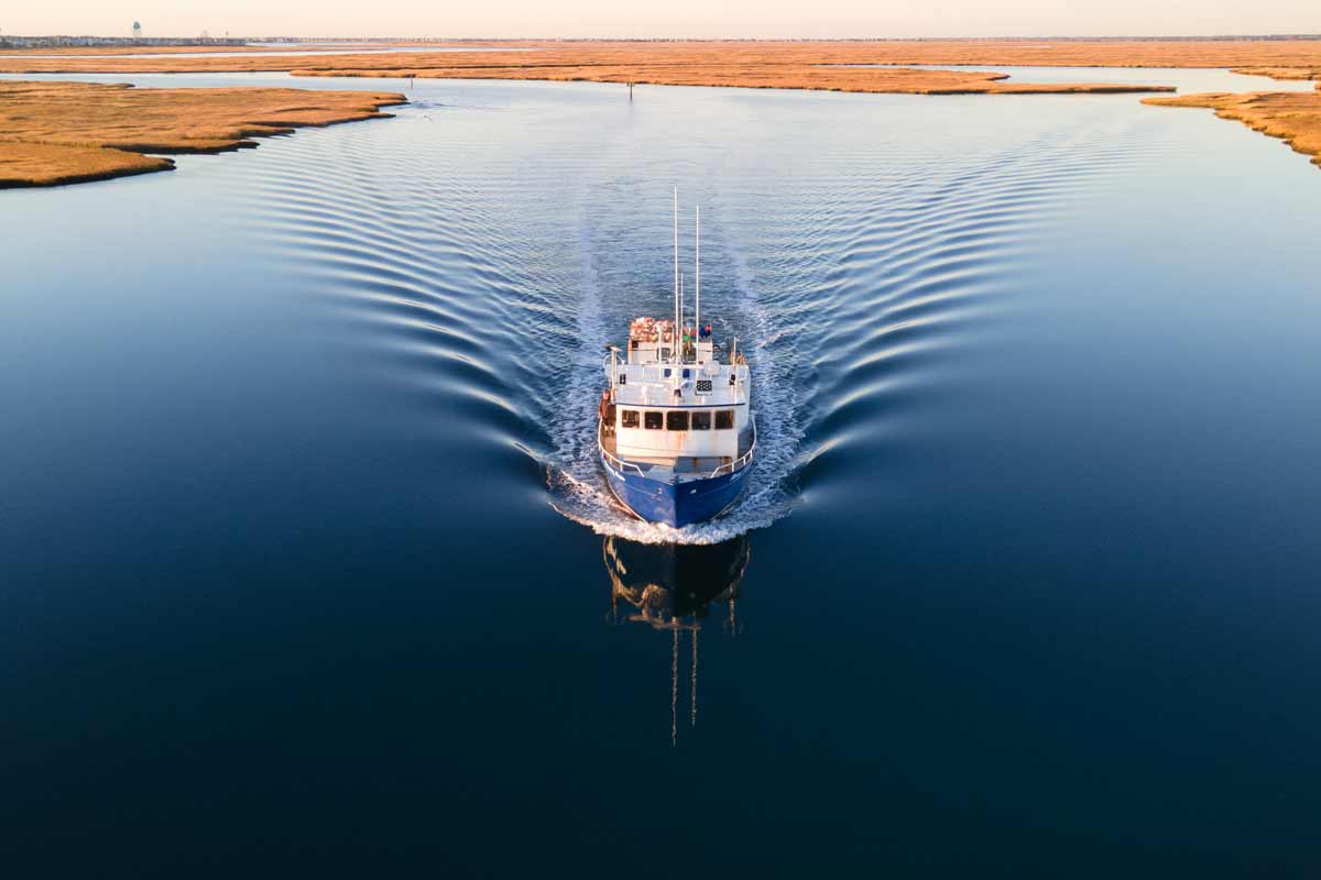 Sustainability of the US Pelagic Longline Fishery in the US